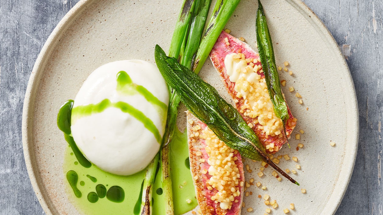 Rode mul met gerookte aardappelpuree, krokante aardappel en citrus mayonaise Rode mul met gerookte aardappelpuree, krokante aardappel en citrus mayonaise